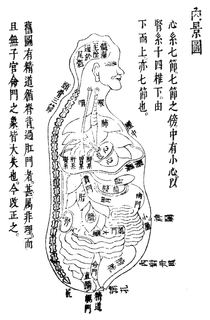 中国伝統医学の人体古図